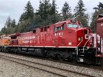 CP 8161